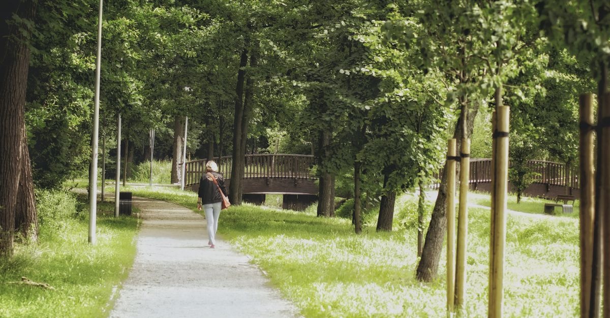 Wyjdź i oddychaj: spacer jako najprostszy rytuał odnowy organizmu